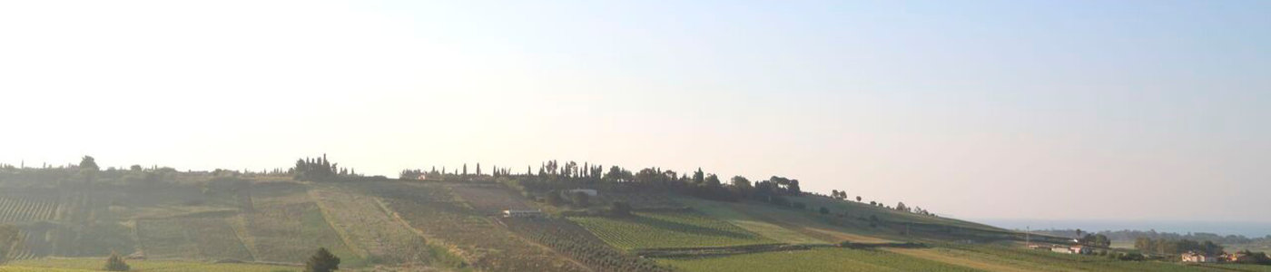 vincent-sheppard-planeta-winery