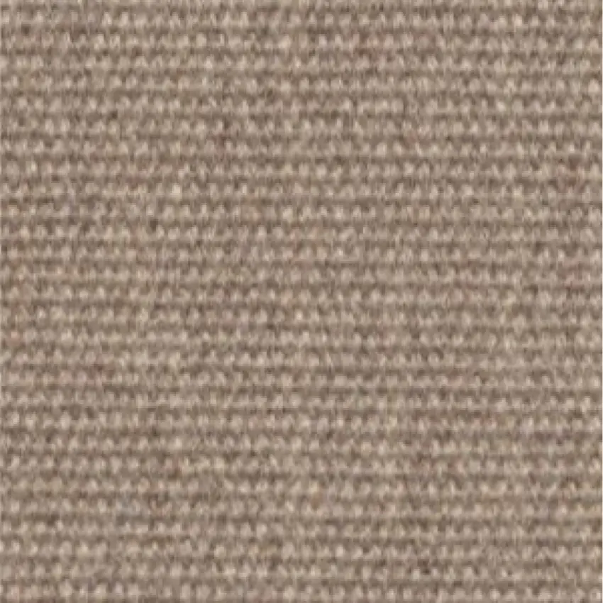 arashi-182-fawn