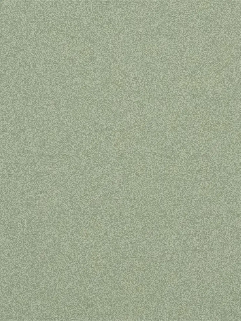 19-te-verde-green-tea