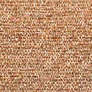cotswoldfurniture-vs-burntorange-catgfabric