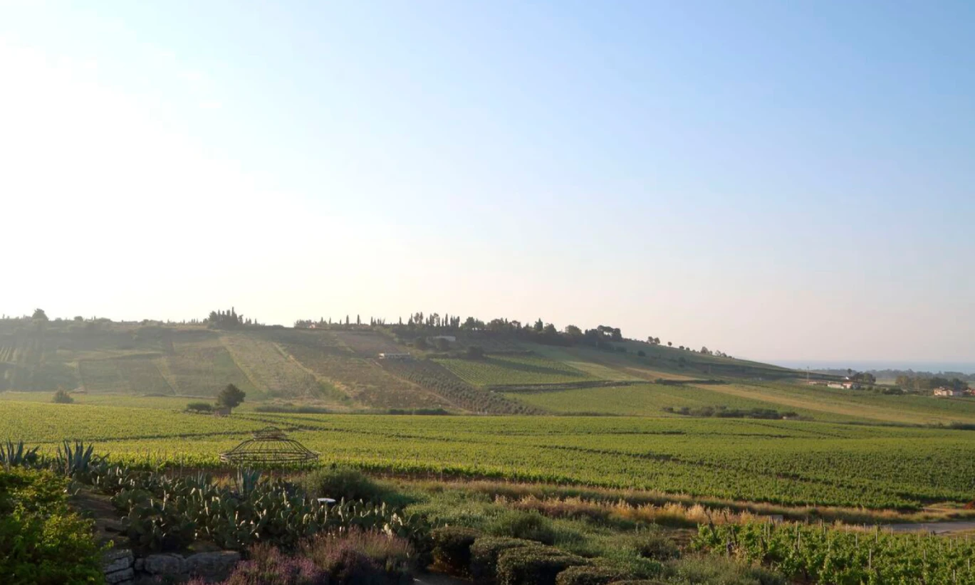 VincentSheppard_PlanetaWinery_1920x1080