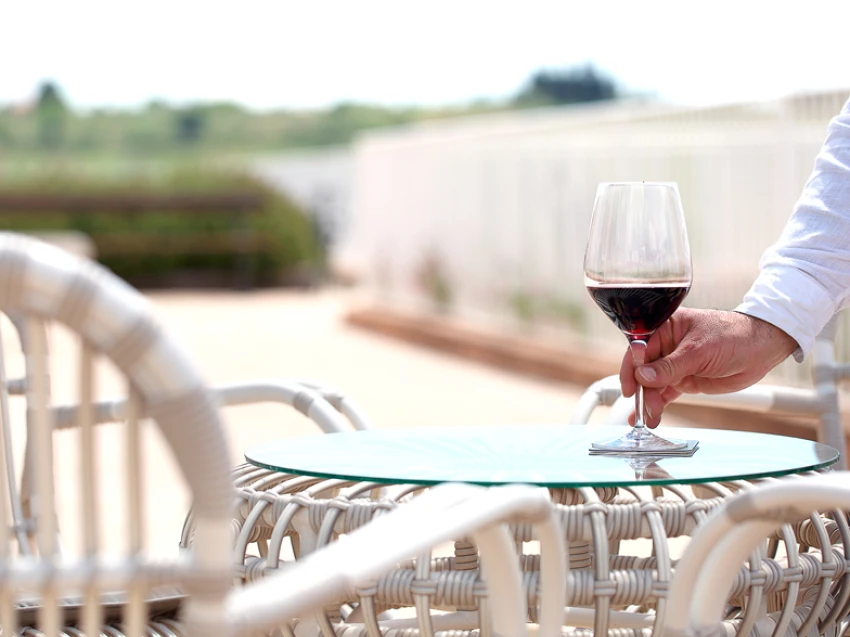 VincentSheppard_PlanetaWinery_landscape4_784x650_72dpi