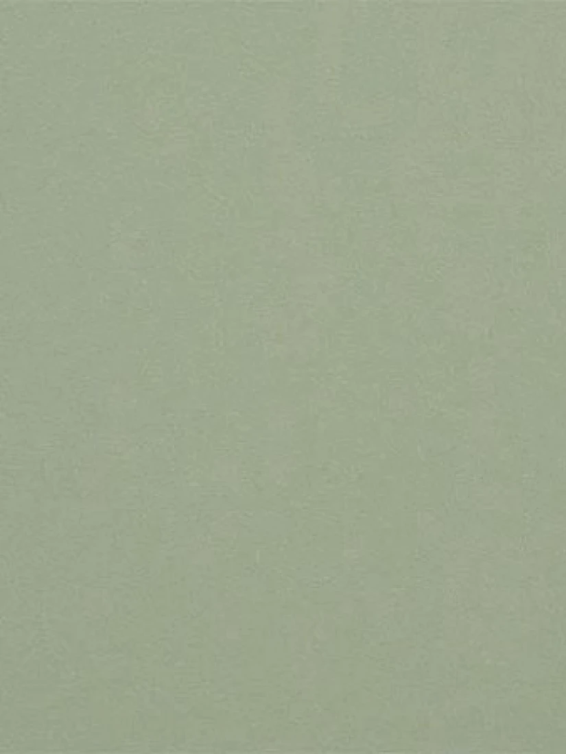 green-tea