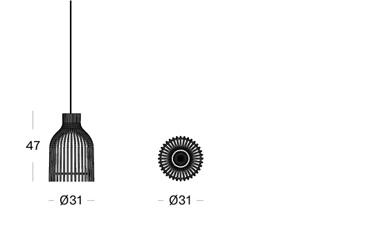 Firefly_DIMENSIONS_72DPI