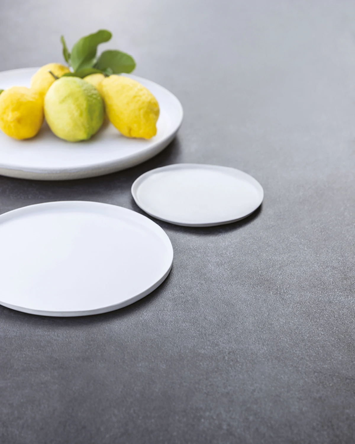 Fast_AllSizeDiningTable_extra_800x1000