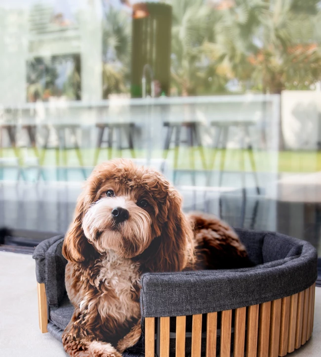 CotswoldTeak_AvocaPetBed_Extra_800x1000