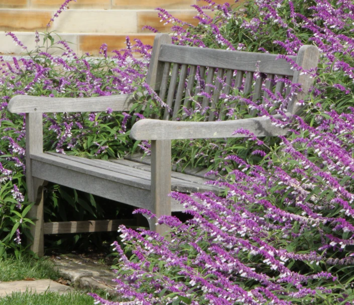 Cotswold Teak Westminster aged bench with silver grey patina